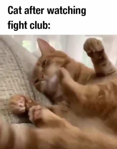 You do not talk about Fight Club