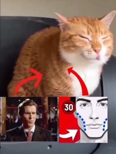 is oye a sigma because she is a wunk, or she is a wunk because she is a sigma?