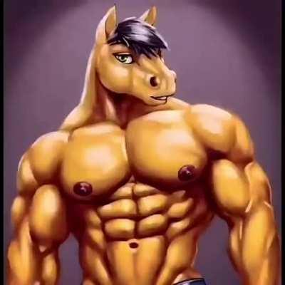 Chad horse 😎