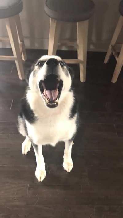 Lalalalala I can't hear you! 🤣