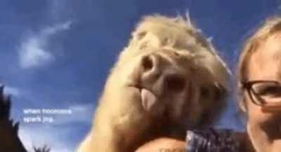 This baby is a lover of kisses