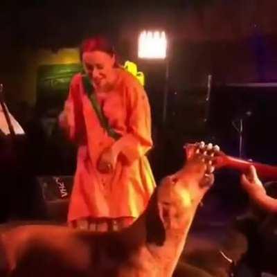 Dog joins a performing band