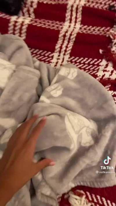 Can't disturb the smol cat