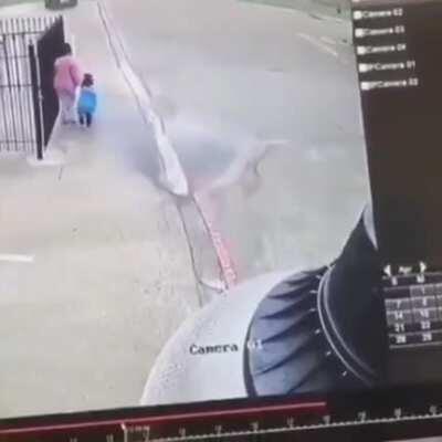 Затимились