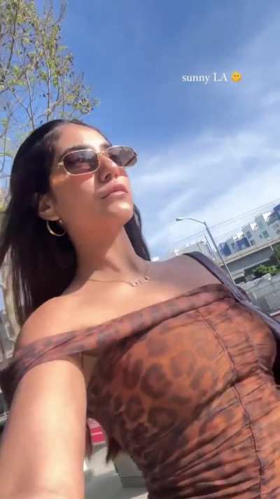 Cheetah on the prowl