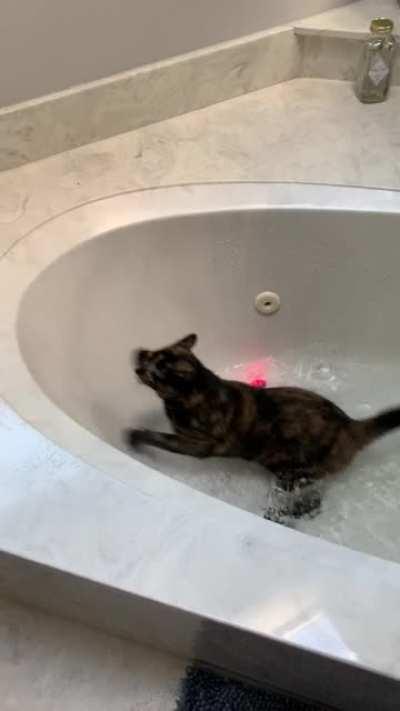 Каджит сделал ужасную ошибку