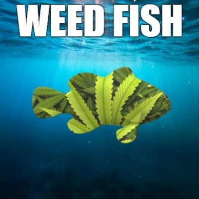 weed fish... so deep