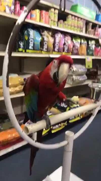 *aggressively mmms louder*