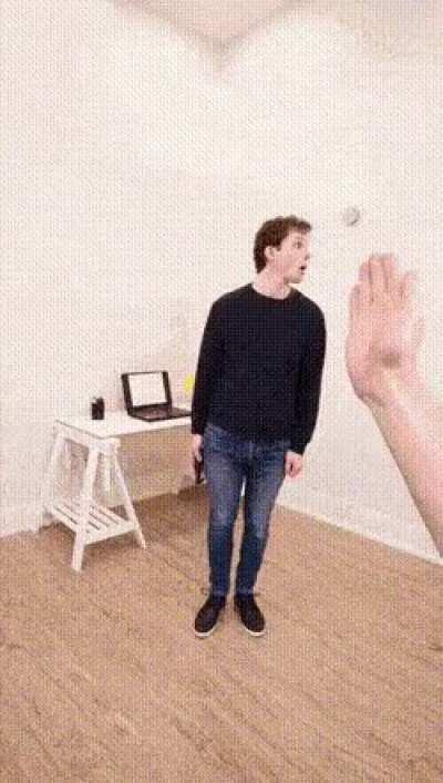 The animator becomes animation