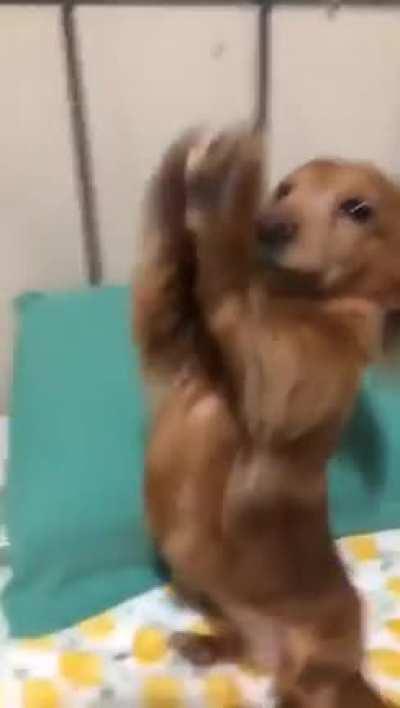 She did 'em so dirty