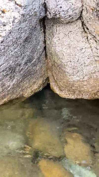 Even if you've been out at sea for too long... don't.