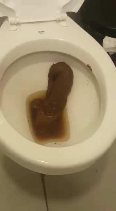 When someone leaves poop in the toilet.