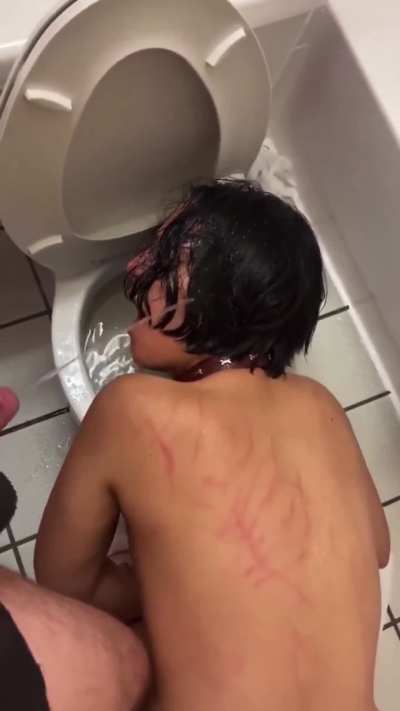 Freeuse getting trained