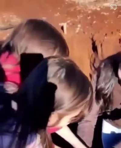 Can’t change genetics, a terriers gonna do what they do best.