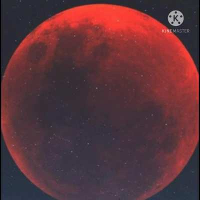 Reviving the subreddit. For you reddit only members, here's Audi LeMans, a new-er member of the cast.