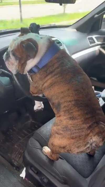 Ya levantence hijos del pico , hoy es sabado 