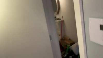 Black New World Order