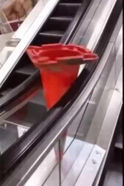 My brain cells during an exam