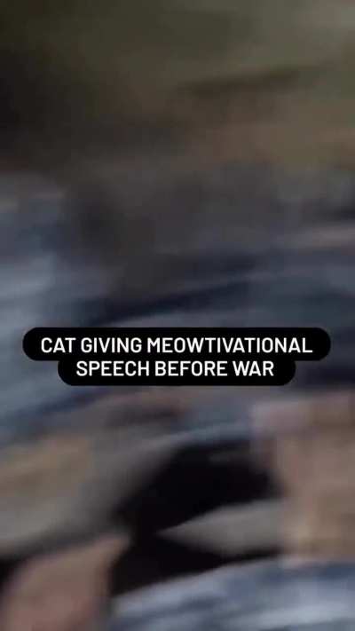 These young men shall follow their wunk general to certain death‼️