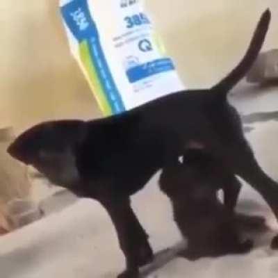 Imagine wanting nourishment from your mom. And then this