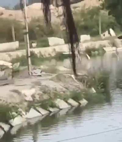 Quebrou o sistema 🐔🤝😎