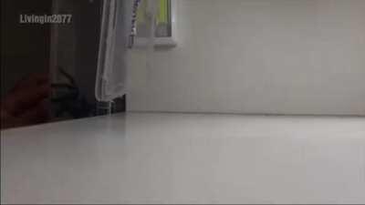 i would have done the same