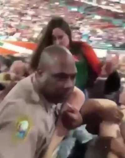 Drunk fan slaps a cop