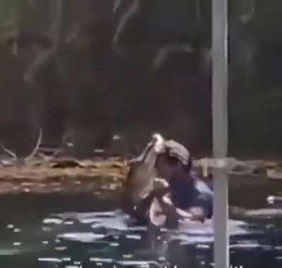 Lemme have a normal afternoon, nothing crazy! Minutes later: