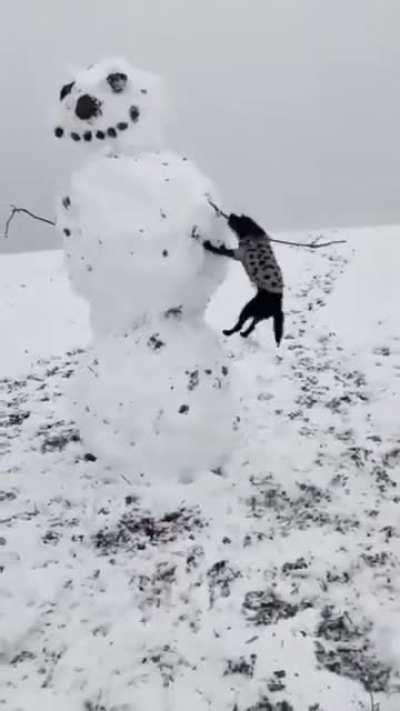 To dismember someone