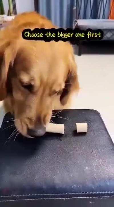 How to Be a Better Fren