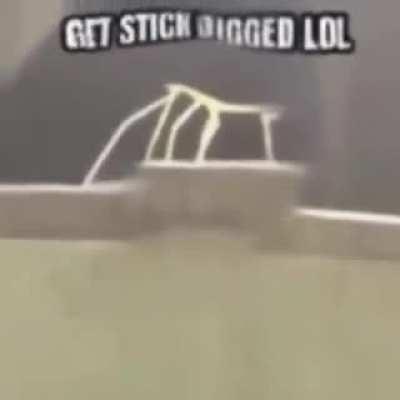 Get stick bugged lolololololol