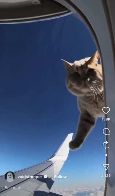 Is this AI? His arms move kinda weird