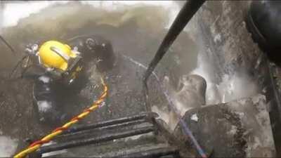 Seal greets an underwater welder returning to the surface.