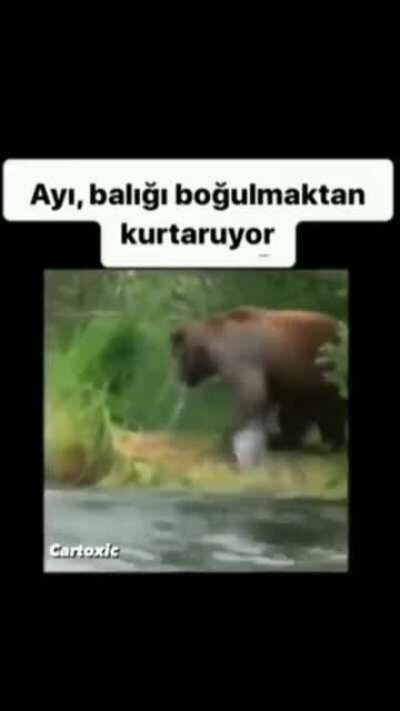 Ayı kadar olamıyoruz :( !