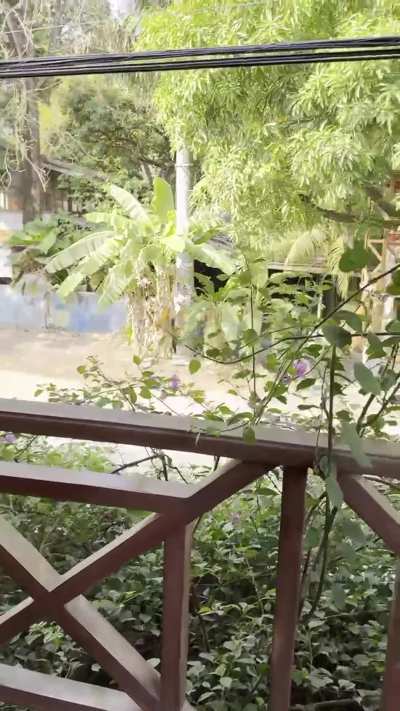 Showing everyone what I have got