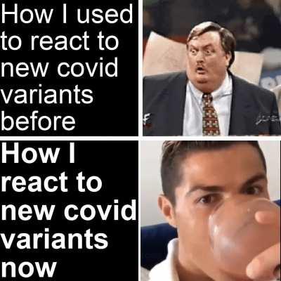 Gotta catch them all