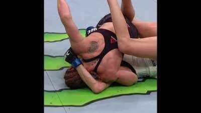 Valentina Shevchenko gets a mounted crucifix and proceeds to rain elbows down on Katlyn Chookagian, finishing her in the 3rd round.