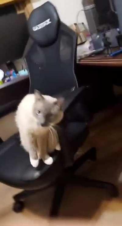 I think this qualifies for this group. Hes copying my head movements :)