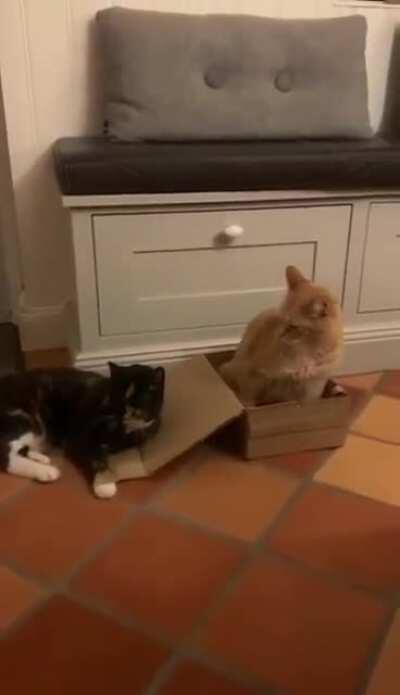 This is my box now