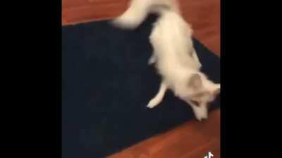 Not sure if its a Repost - Credits to the Author.