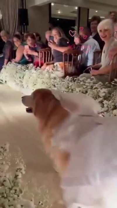 She is the prettiest golden bride