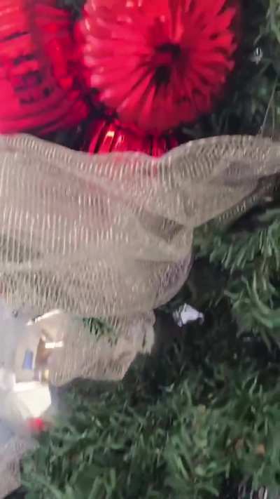 Christmas Tree by RGG Studio