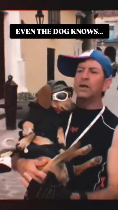 A Turkish dog 🐕 convince an Italian🇮🇹 to make anti Erdogan propaganda