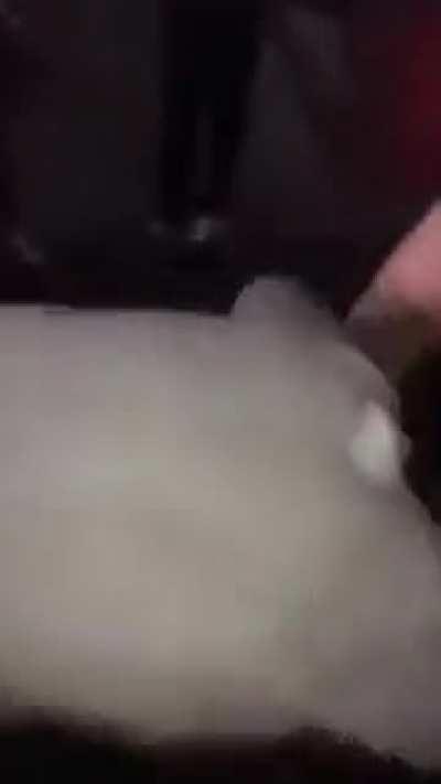 Another Late Night Light