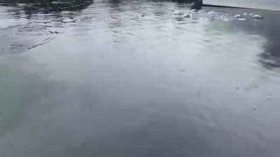 ...and then this happens