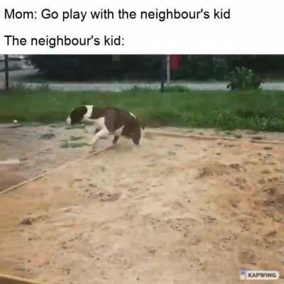 The neighbour's kid