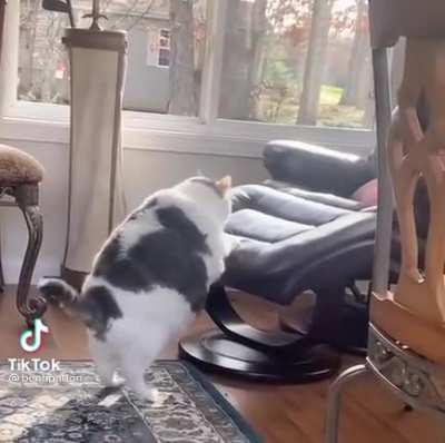 Фитнес на неделю вперёд