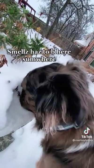 1st time seeing snow is always a journey for everyone