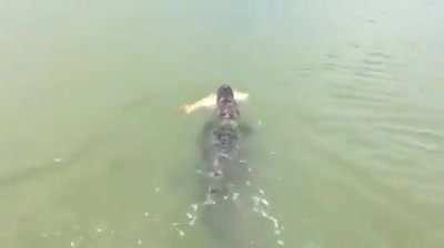 To catch a fish