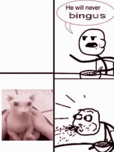 “He will never BINGUS” they said.